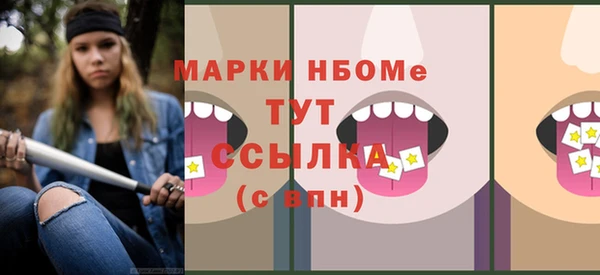 индика Абинск