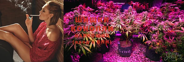 MESCALINE Абдулино