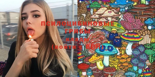 мяу мяу кристалл Алексин