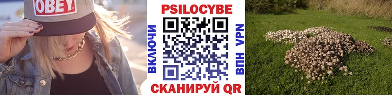 KRAKEN сайт  Сатка  Псилоцибиновые грибы Cubensis 